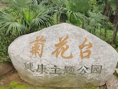 -菊花台公园