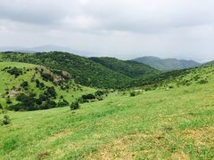 -大姆山草场