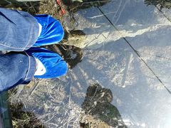 -宁波五龙潭景区