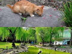 -苏州河梦清园环保主题公园