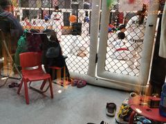 -悦健身游泳健身馆(宋家庄店)