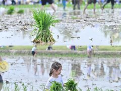 -中国天府农业博览园