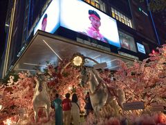 -芽庄中心购物广场