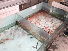 -秦美花卉(天朗·莱茵小城2期店)