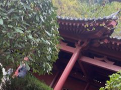 -西安华清御汤酒店