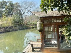 -绿茶餐厅(龙井船宴· 品牌总店)