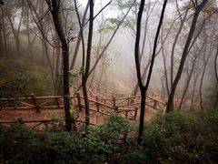 -大岭沟猕猴桃谷风景区