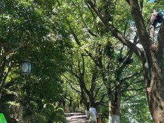 -天目湖山水园