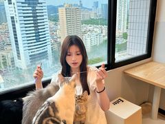 -有喵·猫咖·狗咖·30几只猫10只小狗(岗厦店)