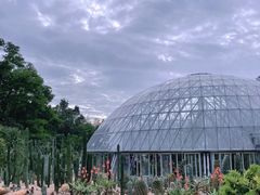 -深圳仙湖植物园