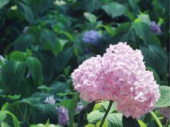 -仁和公园(顺义区)