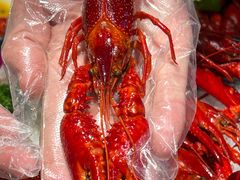 -舞虾小说.涮肉.烧烤(国顺东路店)