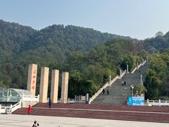 -铁山坪森林公园