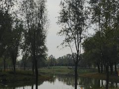 -东郊湿地公园