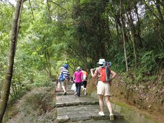 -广州白江湖森林公园