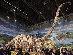 -自贡恐龙博物馆