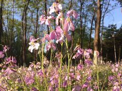 -奥林匹克森林公园南门-停车场