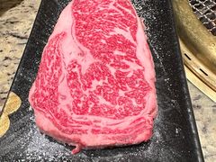 -老乾杯(深圳湾万象城店)
