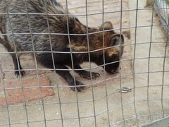 -武汉紫薇都市田园