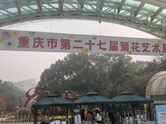 -南山植物园
