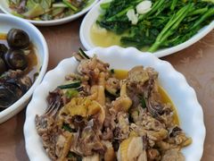 -遇龙河大樟树农家乐