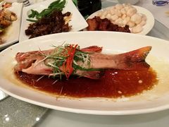 -上海南新雅大酒店