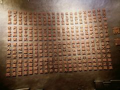 -陕西自然博物馆