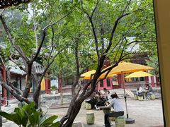 -宫事颐庭·老佛爷贵寿下午茶(颐和园店)