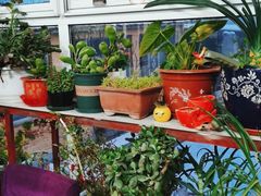 -北京龙庆四季香农家饭庄·灶台鱼·碳烤虹鳟鱼(龙庆峡店)