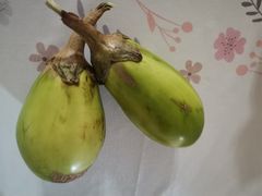 -菊园百果园
