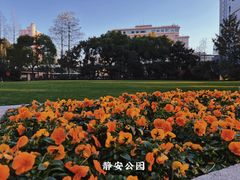-静安公园(静安寺街道)