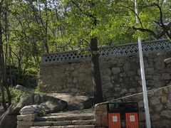 -大岭沟猕猴桃谷风景区