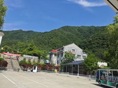 -王顺山国家森林公园