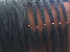 -月河湾马术俱乐部(朝阳店)