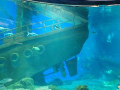 -福州罗源湾海洋世界旅游区