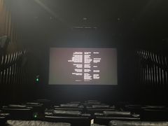 -天幕新彩云国际影城(激光巨幕店)