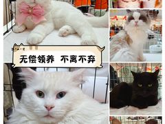 -银泰百货(北京大红门店)