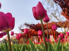 -静安雕塑公园
