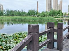 -前关湿地公园