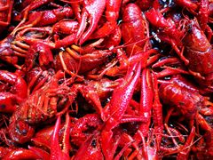 -盱眙虾神於氏龙虾(夫子庙红街店)