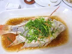 -鹿鸣酒家(越秀店)