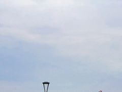 -西安浐灞国家湿地公园