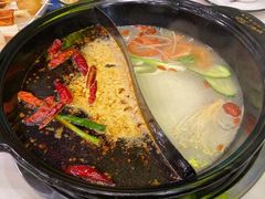 猪大骨汤-XiaoJunGan Hotpot 钢管厂五区小郡肝火锅串串香