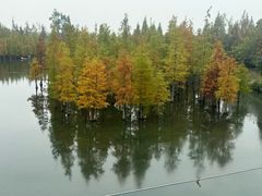 -白鹭湾湿地公园