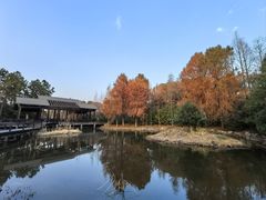-长广溪湿地公园