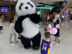 -上海颛桥万达广场
