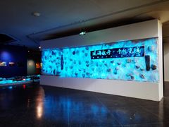-敦煌石窟文物保护研究陈列中心