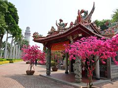 -五通灯塔公园