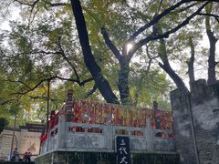 -大槐树寻根祭祖园