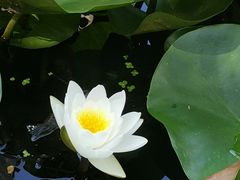 -滨河世纪广场公园